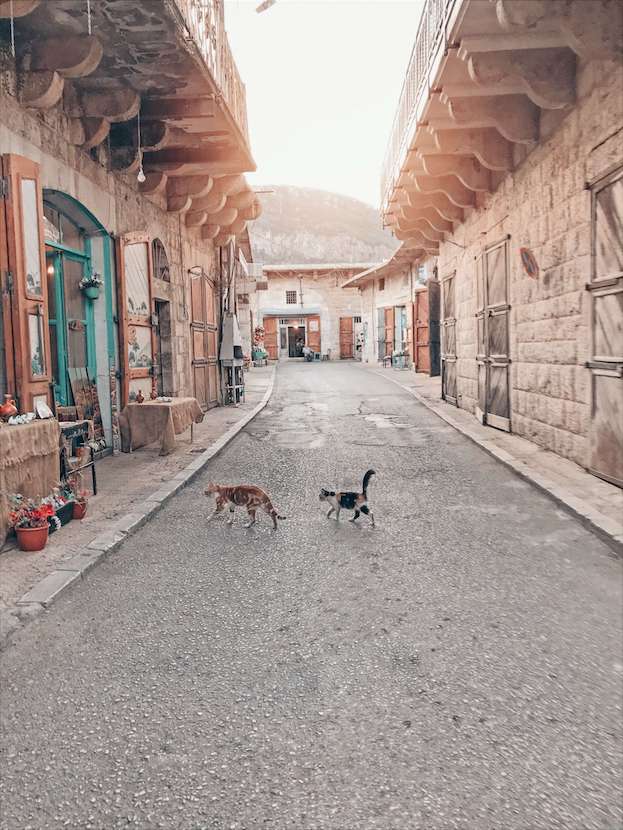 travel with purpose to Lebanon